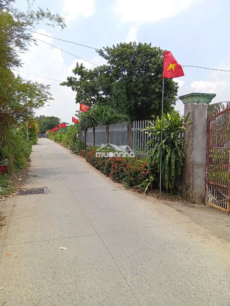 Cần bán gấp nhà cấp 4, gần đường nguyễn hữu trí, đường tổ 2,3,4a. - Ảnh 2