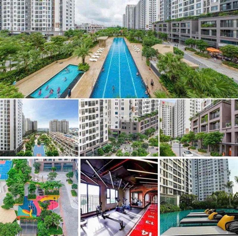 Cho thuê căn hộ picity 49m (1pn + 1wc, nhà mới