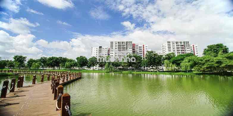 Cho thuê căn hộ 2pn 1wc dt 55m2 khu topaz celadon city