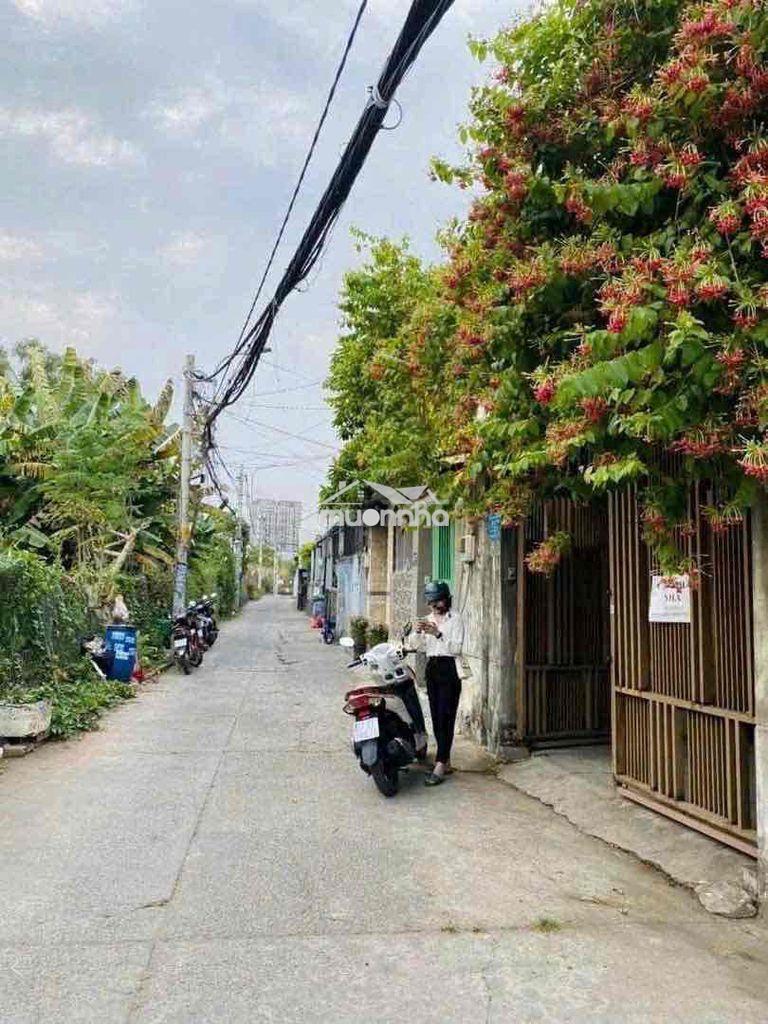 Nhà vườn 160m hxh 1/ phạm văn đồng, linh đông - Ảnh 2