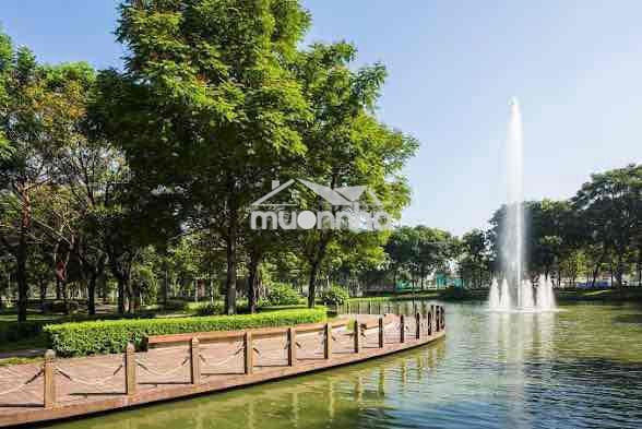 Cho thuê căn hộ 2pn 1wc dt 55m2 khu topaz celadon city - Ảnh 2
