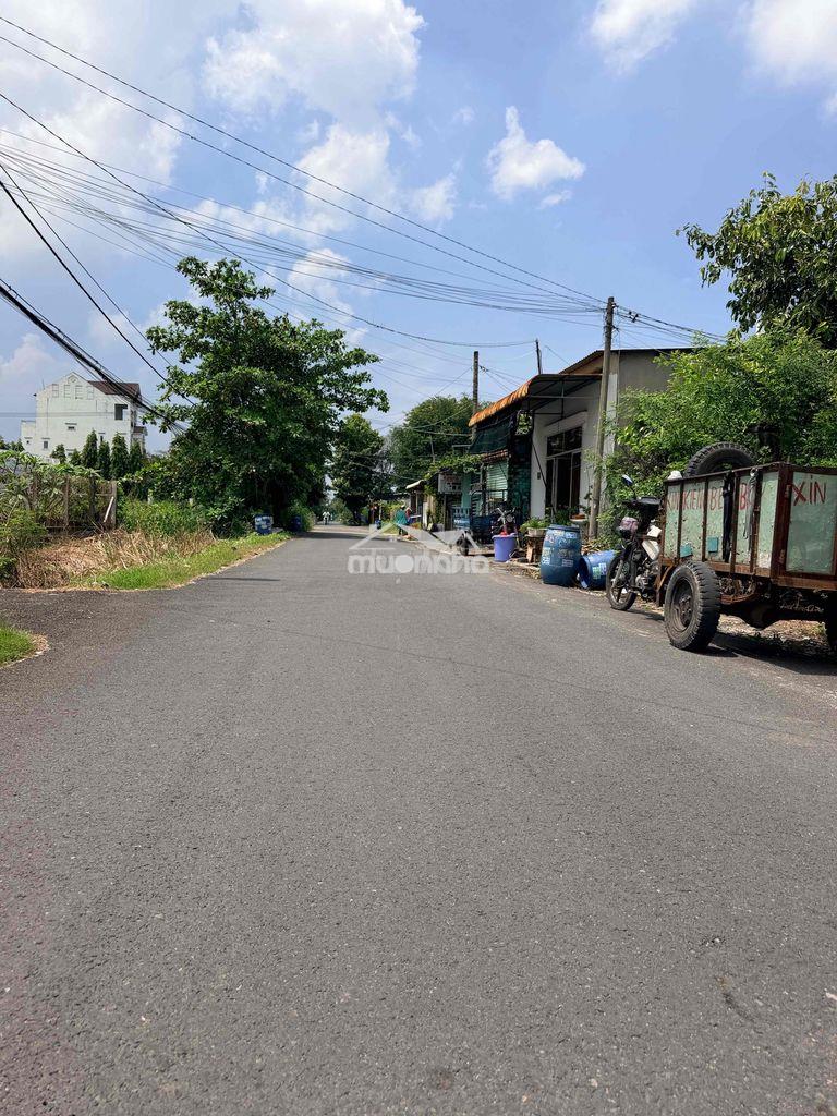 Bán gấp nhà cấp 4 , đường số 9 liêu bình hương , cạnh chợ việt kiều - Ảnh 2