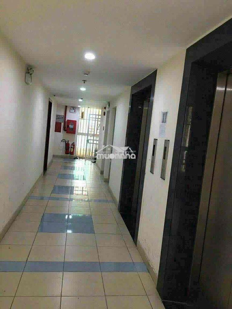Căn hộ chung cư đông hải 54m2 2pn + 2wc full nột thất - Ảnh 3